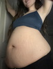 Feedism Silentxobow 1jvi0wj