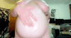 Stuffers kittenash27 1juvboa
