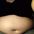 belly