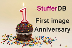 StufferDB turns 1 years old!