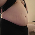 173320120391 big full belly 1