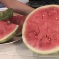 Amelia watermelon stuffing