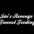 Jaes Revenge on Luna Funnel