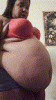 IMG 4289