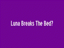 luna in bed